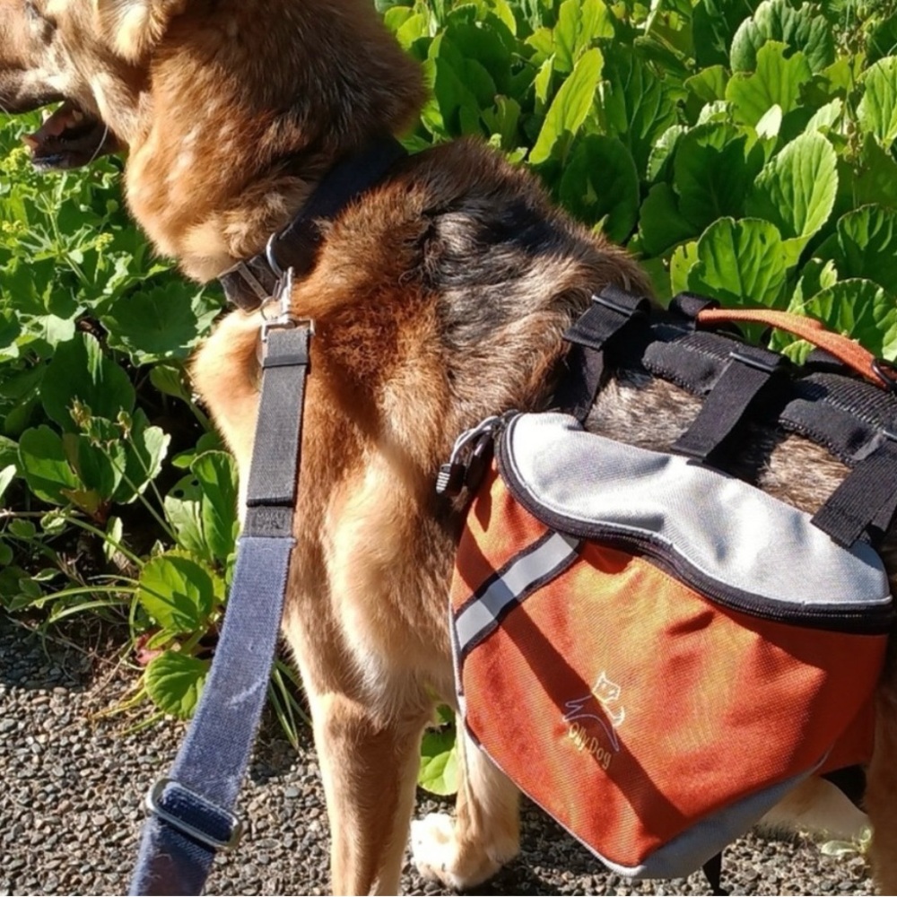 OllyDog Orange and Gray Dog Backpack - Picture 7 of 7